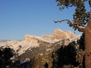 Trail On foot Kastelruth - Castelrotto - IT-9 - Photo