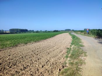 Percorso Marcia Lennik - Gaasbeek - Photo