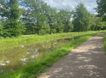 Trail sport Reugny - Canal du Berry  - Photo