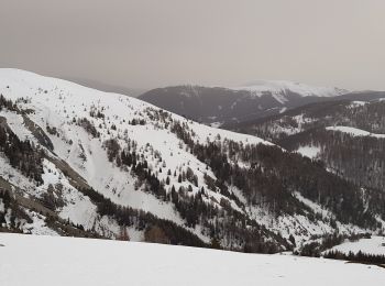 Randonnée Raquettes à neige Roubion - cretes du countet Boucle - Photo