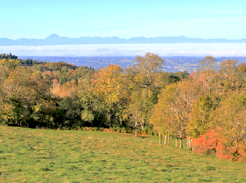 Randonnée Marche Thiers - Thiers_Pierre_Folle - Photo