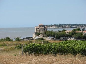 Randonnée A pied Talmont-sur-Gironde - Talmont-Barzan 17   -8km6 - Photo