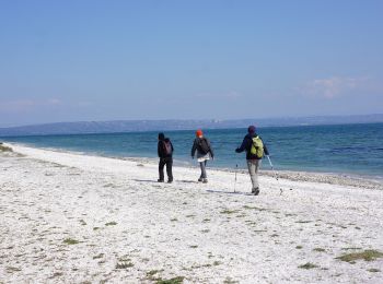 Tour Wandern Martigues - Martigues - parc de Figuerolles - Photo