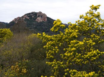 Randonnée Marche Mandelieu-la-Napoule - Chapelle St Jean - Maure Vieil - La Californie - Rocher des Monges - Photo