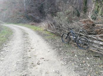 Trail Mountain bike Chatte - chemin du tram part1 - Photo