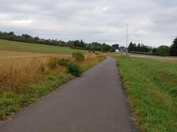 Percorso Bici da strada Saulny - euromoselle - Photo