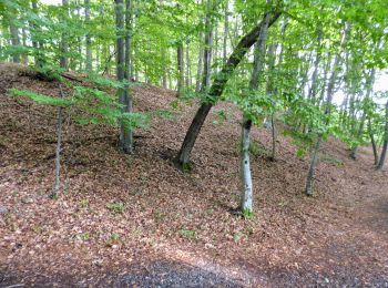 Trail On foot Tieschen - Linke Fußspur (Auf den Spuren der Vulkane) - Photo