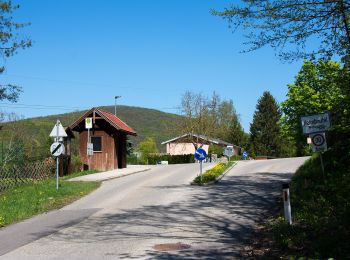 Percorso A piedi Gemeinde Purkersdorf - Wienerwaldsee - Heimbautal - Photo