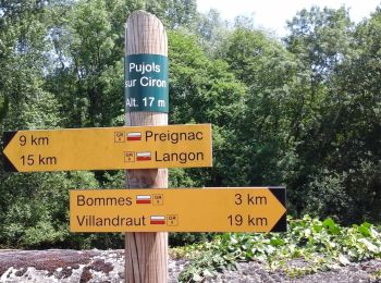 Trail On foot Pujols-sur-Ciron - Pujols-sur-Ciron : boucle locale - Photo