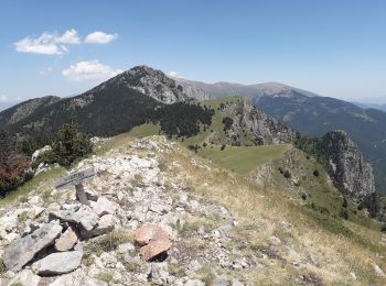 Trail On foot Bellver de Cerdanya - Pic del Moixeró - Photo
