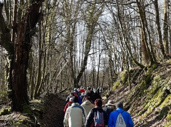 Trail Walking Neufmanil - neufmanil mardi - Photo