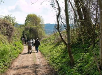 Percorso A piedi Hirschberg an der Bergstraße - Rundwanderweg Kunz'sche Mühle 4 - Photo