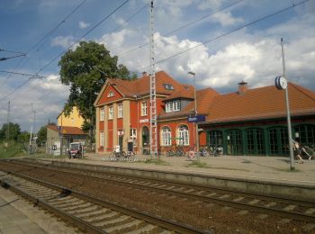 Excursión A pie Chorin - Kroneichen-Rundweg - Photo