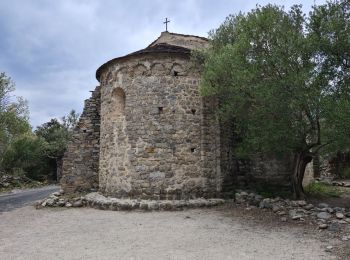 Tour Wandern Ille-sur-Têt - Ile sur Têt - Rodes - Photo