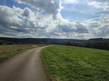 Tocht Stappen Rambrouch - au pays de l ardoise  - Photo