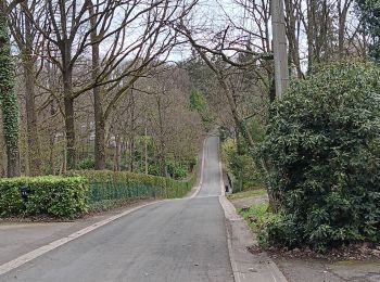 Tour Wandern Esneux - autour du Cortil et des Sept Collines  - Photo