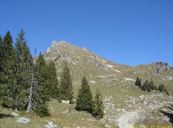 Randonnée Trail Mieussy - Les Roches 1500 N°8 - Roche Pallues - Taninges - Praz de Lys - Lac de Roy - Pointe du Perret : 22km - 1400m+ - Photo