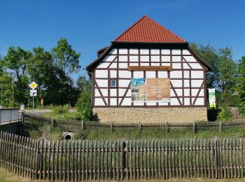 Excursión A pie Hörselberg-Hainich - Wildkatzenpfad - Photo