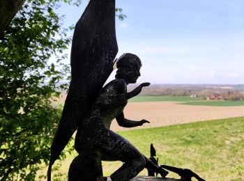 Tour Wandern Frasnes-lez-Anvaing - Le sentier enchanté   - Photo