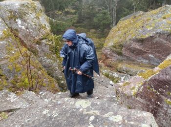 Trail Walking Aubure - Aubure rocher du tétras  - Photo