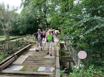 Tour Wandern Nay - nay oppidum Asson G4 fait2022 - Photo