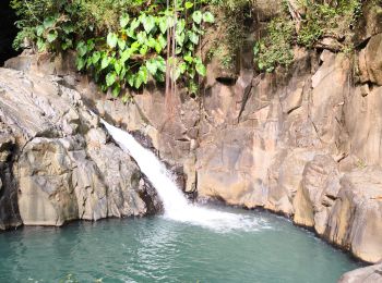 Tour Wandern Pointe-Noire - Guadeloupe - Saut de l'Acomat - Photo