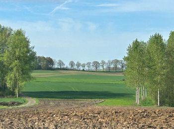 Tocht Stappen Geldenaken - #240408 - Jodoigne, Bois du Haut St Pierre - Photo