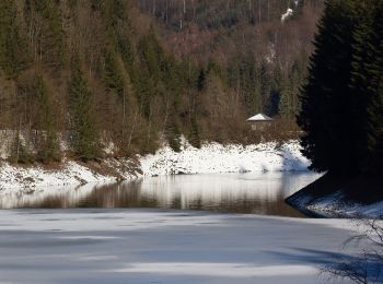 Tocht Te voet Steinwiesen - Hubertus-Weg RT 25 - Photo