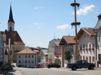Excursión A pie Obernzell - Zeller Donausteigrunde - Photo