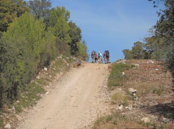 Trail Walking Éguilles - PF-Eguilles, balade dans les collines - Photo