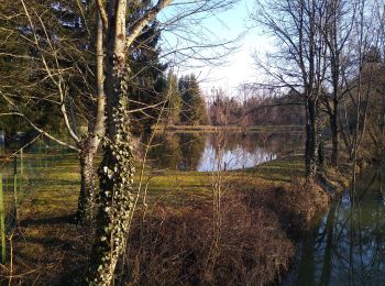 Tocht Stappen Rambervillers - Romont  - Photo