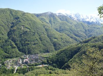 Randonnée A pied Centovalli - Sentiero Monte di Comino - Photo