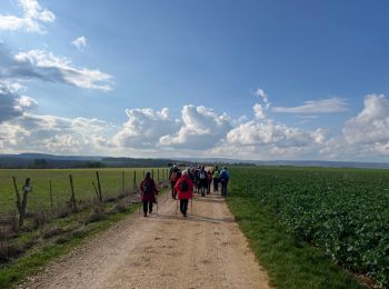 Trail Walking Riaucourt - Riaucourt - Photo