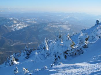 Tocht Ski randonnée Beaumont-du-Ventoux - mont ventoux à Ski - Photo