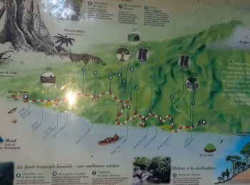 Tour Wandern Le Prêcheur - Traces des Anses - Photo