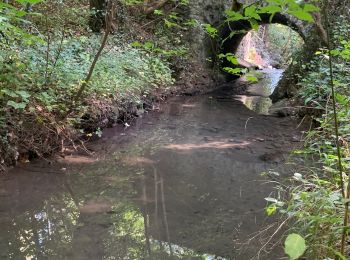 Tocht Stappen Magny-les-Hameaux - Merantaise réel - Photo