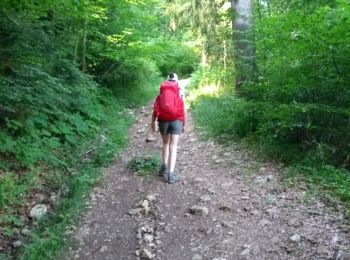 Tour Wandern Les Hôpitaux-Neufs - GTJ Etape 12 :  les Hôpitaux Neufs - Mouthe - Photo