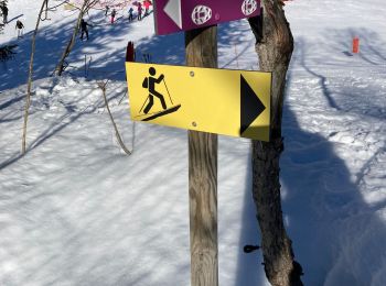 Excursión Raquetas de nieve Passy - Boucle chalets d’ Ayère par le lac vert - Photo