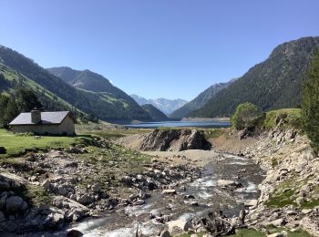 Trail Walking Aragnouet - Cabane d'Artigusse - Le lac de l'Oule - Photo