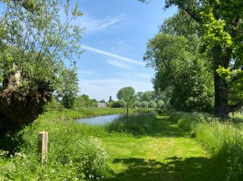 Trail Walking Dilbeek - Un petit tour vers le moulin - Photo