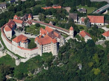 Tour Zu Fuß Harburg (Schwaben) - Bock-Rundweg - Photo