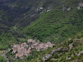 Excursión Senderismo Le Rozier - circuit Brunet et partie du circuit de Cassagnes le Rozier - Photo