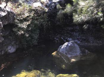 Randonnée Marche Cilaos - Cilaos-Cascade bois rouge -col Taïbit -Cilaos - Photo