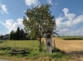 Percorso A piedi Gemeinde Kirchstetten - Totzenbach - Riesenfichte - Photo