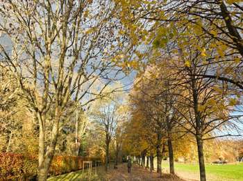 Trail Walking Aywaille - Remouchamps - Aywaille - Photo