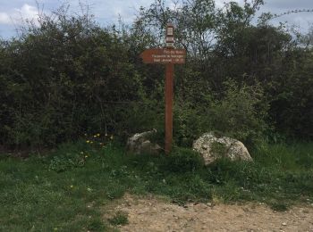 Trail Walking Vence - Plan de noves Baou noir - Photo