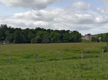 Randonnée V.T.T. Sexfontaines - Hte-Marne à VTT : forêt de l'Etoile et val de Blaise - Photo