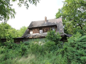 Excursión A pie Lübben (Spreewald) - Wanderweg Radensdorf-Polenzschenke-Burg - Photo