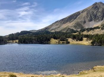Trail Walking Formiguères - les lacs 2023 - Photo
