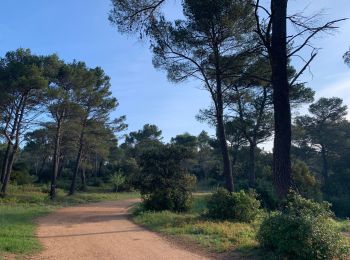 Trail Walking Aix-en-Provence - Prés d'Aix, les barrages de Bimont et Zola - Photo